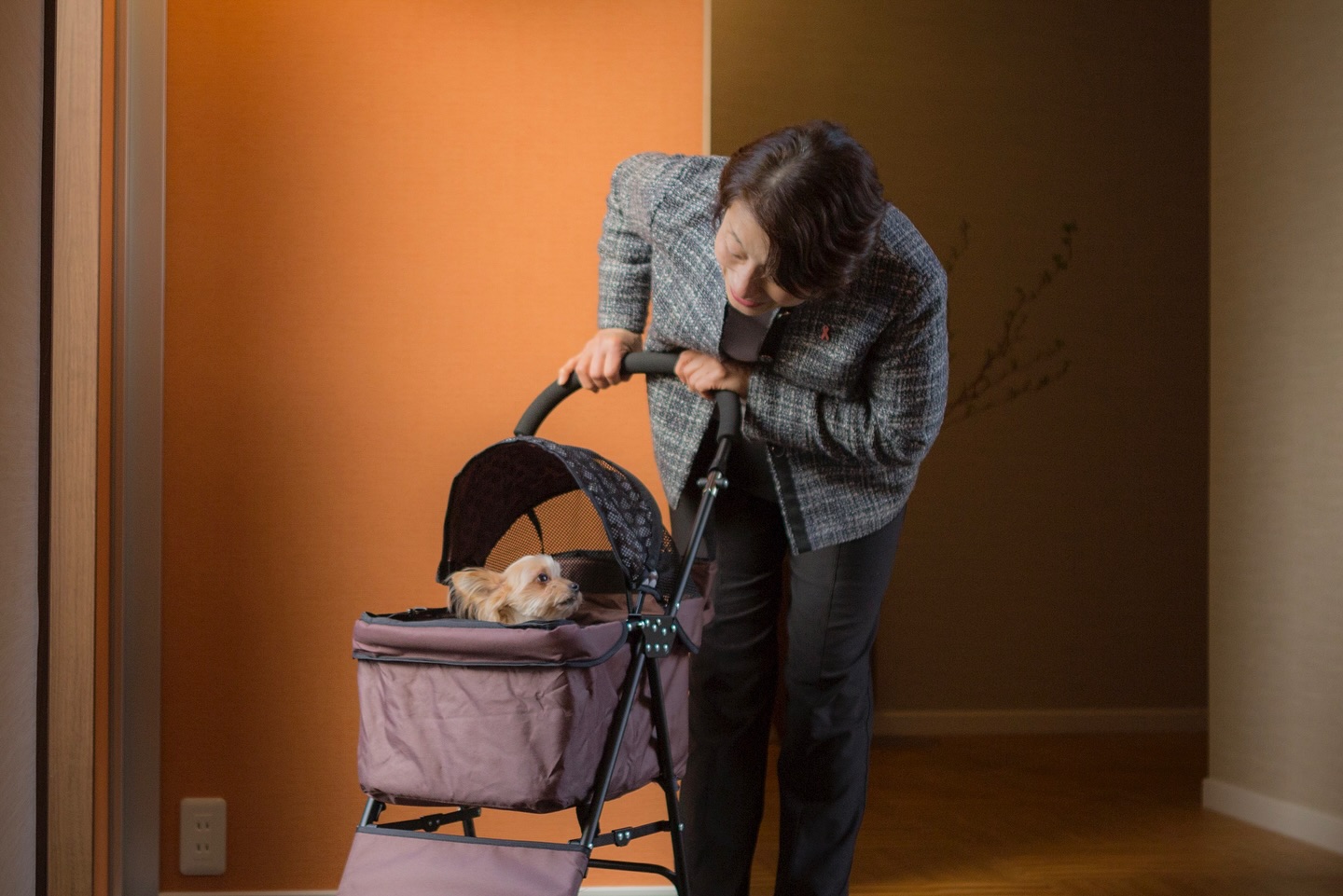 懐かしいこの写真。