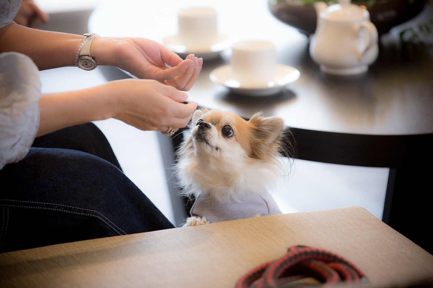 柔らかな光が差し込む、穏やかな時間。