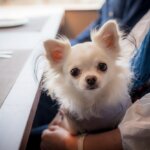 お食事の時間も、もちろん一緒。