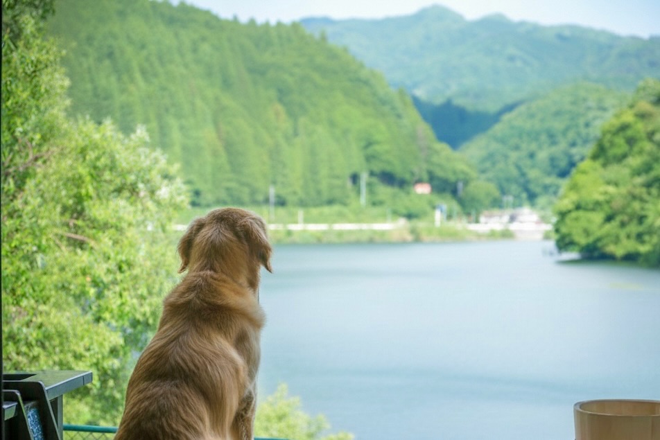 新緑がまぶしい季節の、