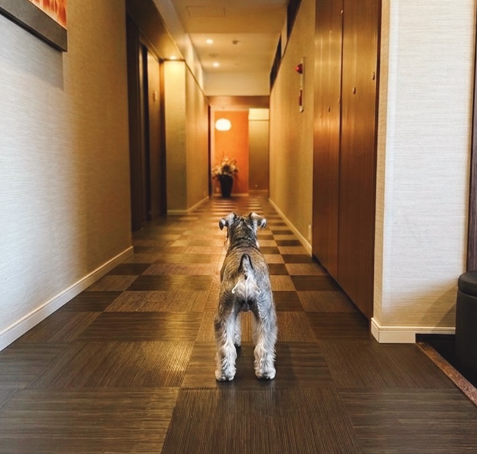 ここ、知ってる。