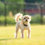 3月のはじまりは、