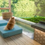 わんこと一緒に足湯タイム♪