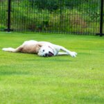 雑草を抜く音、聞こえますか？