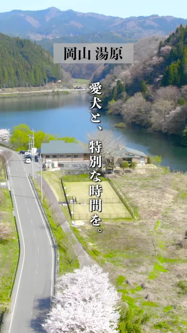 言葉より、雰囲気で。