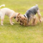 なんか、におうぞ。