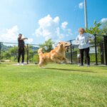 気持ちいい季節になりました！