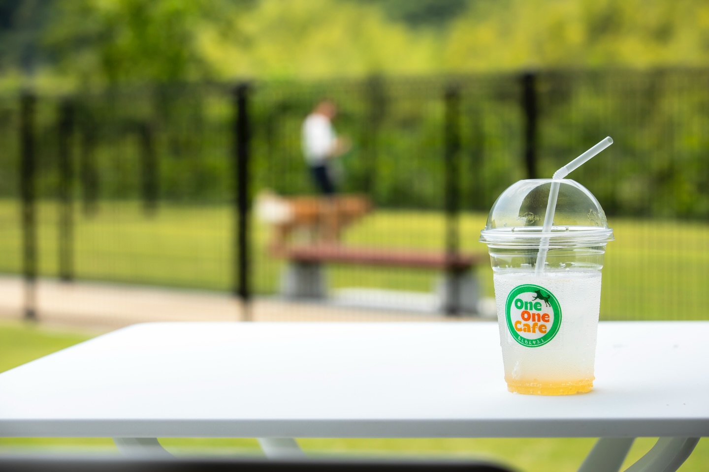 わんこあんに来る途中、帰り道。